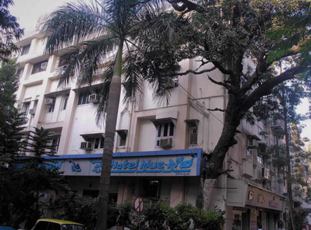 Hotel Blue Bird Colaba Mandve Extérieur photo